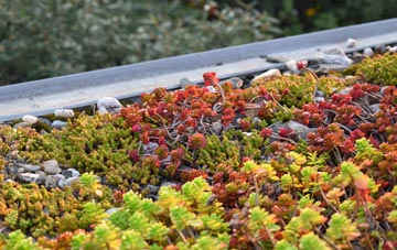 the cost of Carnach green roof installation