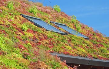 Carnach living roof systems