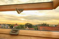 rated Carnach roof window companies